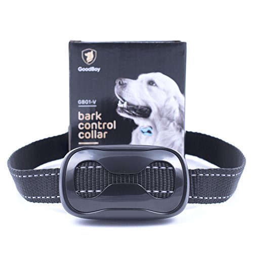 5 Best Vibrating Dog Collars for Training Your Dog ShockFree!