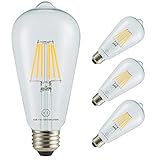 Led Filament Bulb Retro Vintage Edison Style ST64, Dimmable, E26 Medium Base, Warm Color Light, 750 Lumens, 60 Watt Incandescent Equivalent (Clear Color Glass, 6 Watt, Pack of 4)