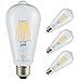Led Filament Bulb Retro Vintage Edison Style ST64, Dimmable, E26 Medium Base, Warm Color Light, 750 Lumens, 60 Watt Incandescent Equivalent (Clear Color Glass, 6 Watt, Pack of 4)
