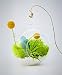 Bliss Gardens Air Plant Terrarium Kit 4" Round Glass / Turquoise Agate and Moss / Surf's Up