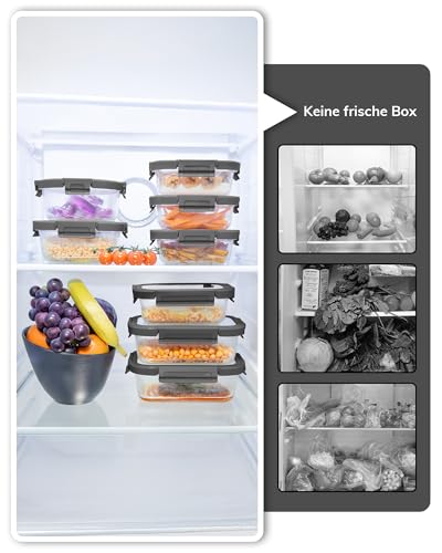 BOROHOUSE 5 Pack Borosilicate Glass Containers with Tempered Lid, 1040 ml/4.4 Cups, Airtight Meal Prep Set, Microwave/Freezer Safe/Ovenproof -20℃~510℃, Grey