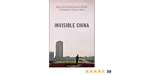 Amazon Com Invisible China How The Urban Rural Divide Threatens China S Rise 9780226739526 Rozelle Scott Hell Natalie Books