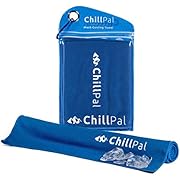 Chill Pal Mesh Cooling Towel