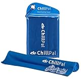 Chill Pal Mesh Cooling Towel (Blue, 12 x 40 inch)