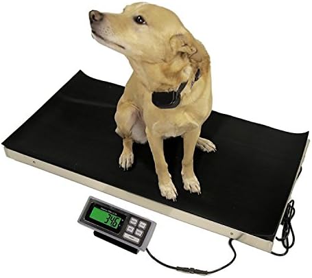 700 LB x 0.2 LB 38 x 20 Inch Platform Vet Veterinary Animal Livestock Dog Goat Calf Pig Sheep 4H Digital Scale