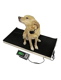 Vet veterinario Ganado Pet Plataforma Escala 700 libras