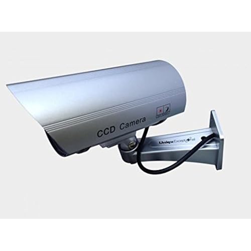 Electronics, Camera & Photo, Video Surveillance, Surveillance Cameras, Simulated Cameras