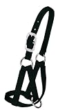 Weaver Leather Llama Halter