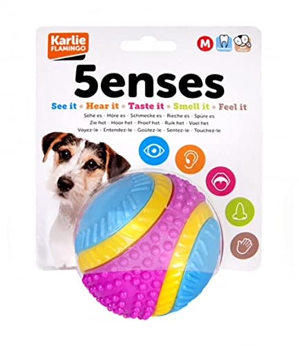 Sharples Beef Scented Five Senses rubber ball for dogs, medium