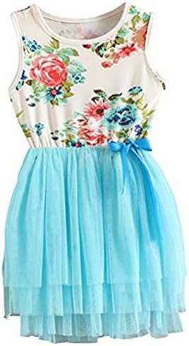 RJXDLT Girls Sleeveless Floral Princess Dress Lace Tulle Tutu Dresses Sundress for Toddler Girls