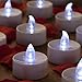 Mars LED Tea Lights - 24 Cool White Unscented Tealight Candles Bonus Decor Rose Petals - 1.4x1.4