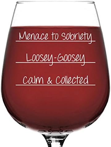 Menace To Sobriety Funny Wine Glass - Best Christmas Gag Gifts for Women, Mom - Unique Xmas BFF Gifts for Her - Cool Bday Present Idea from Husband, Son, Daughter - Fun Novelty Gifts for Wife, Friend