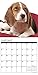 Just Beagle Puppies 2017 Wall Calendar (Dog Breed Calendars)