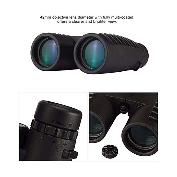 Fernglas, Teleskop Hd 10X42 Fernglas Teleskop Zoom Vision Okular Leistungsstarke kompakte Wasserdichtigkeit für den… – Bild 5