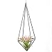 NCYP Modern Rustic Art Style Freestanding Hanging Metal Tillandsia Air Plant Rack Holder Black 10 inches Height Quadrilateral Pyramid Shape Geometric Hollow Flower pots, No Plants Included