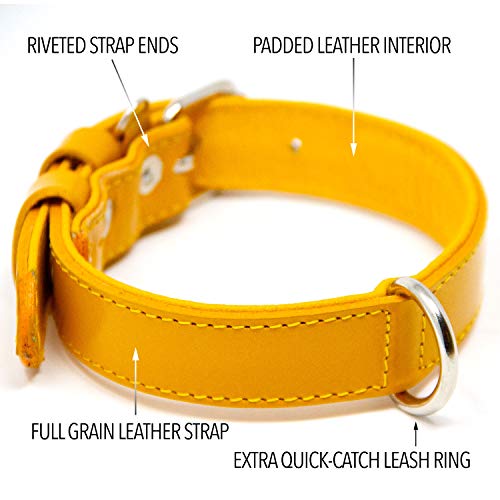 Logical Leather Dog Collar Best Full Grain Padded Genuine Leather Dog