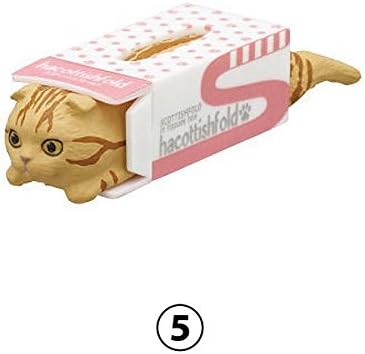 Hacottishfold 2 Scottish Fold Cats in Tissue Boxes Mini Figure Collection, Design 5