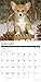 Just Corgi Puppies 2019 Wall Calendar (Dog Breed Calendar)