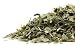 Bulk Herbs: Lotus Leaf (Organic)