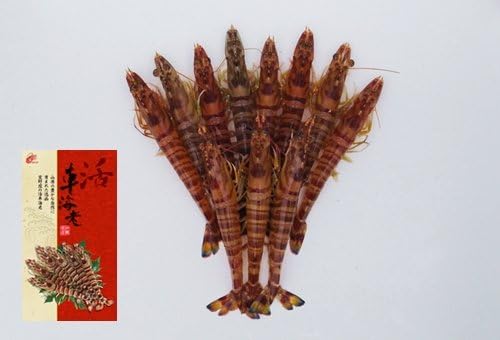 Amazon 宜野座村産 活き 車えび 300g 大 約15 5cm 10 12尾 宜野座養殖場 鮮度抜群ピチピチ活き車海老 ぷりぷり食感と極上の甘み お刺身 お寿司 エビフライ エビチリ 塩焼きに 車えび エビ 通販