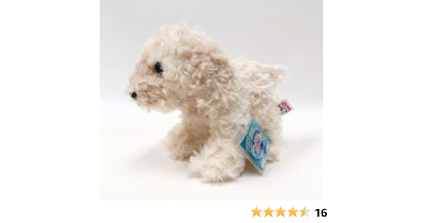 webkinz cockapoo