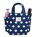 Small Lunch Bag Box Tote Handbag with Water Bottle Holder for Women Mom Snack Bag(Flower Print)