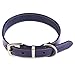 Moonpet Soft Real Genuine Leather Dog Collar - ID Tag Name Plate D-Ring - Heavy Duty for Small Medium Large Dogs Safety - Great for Running Walking Training - Black 16.5-20.5