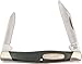 Buck Knives 309 Companion Dual 2 Blade Folding Pocket Knife