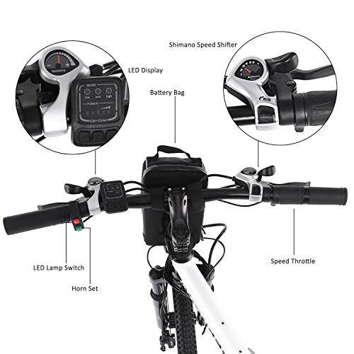 aceshin electric bike