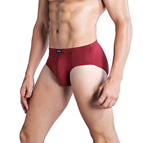 wirarpa Men's Underwear 4 Pack Breathable Modal Microfiber Briefs No