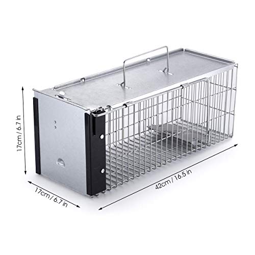 Faicuk Heavy Duty Squirrel Trap Chipmunk Trap and Other Similar-Size Rodents - 16" x 6" x 6"