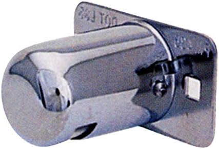 chrome license plate light