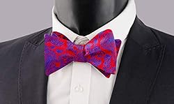 Alizeal Handmade Mens Paisley Self Tied Bow Tie and
