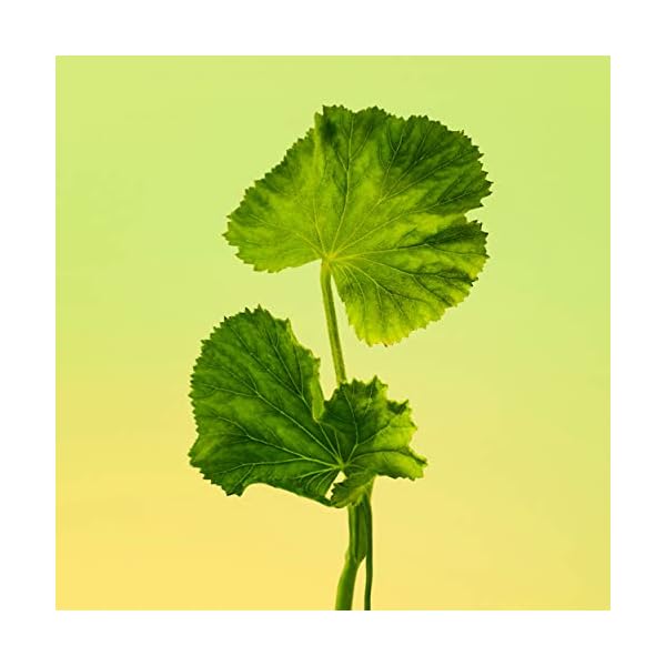 Calvin Klein Eternity for Men