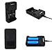 SOAIY 1000mA Fast USB Powered AA AAA 18650 Battery Charger, Portable Battery Charger for A/AA/AAA Li-Ion NiMH Battery, Travel Battery Charger for 1.2V and 3.7V Rechargeable Battery