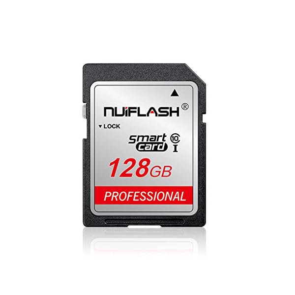 SD Card 128GB Memory Card Fast Speed Flash Memory Card Class 10 for Camera and Other SD Card Compatible Devices(128GB)
