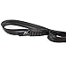Wellsem Hammock strap 12 Point Daisy Chain Design with Easy Loop Heavy Duty Adjustable Suspension sling