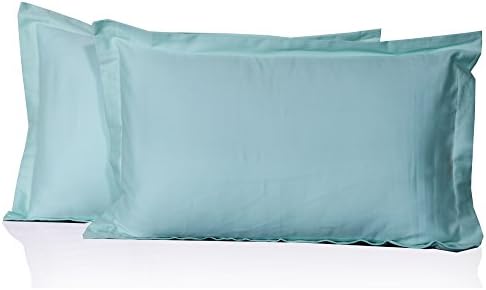 Egyptian Quality Cotton Hotel Quality 2 Piece Pillow Shams 600 Thread Count Solid Pattern (Queen 20" x 30" (50 x 76 cm), Sky Blue)