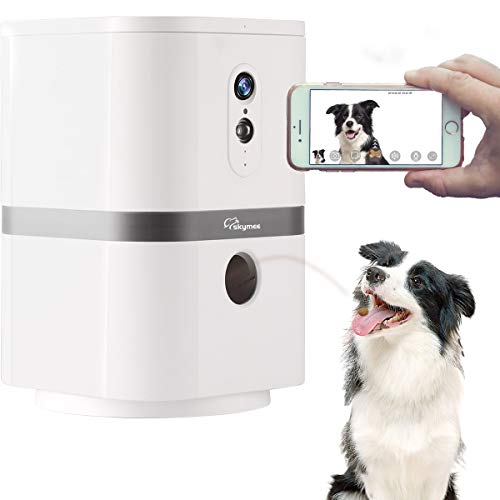 indoor dog camera