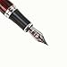 Gullor Medium nib fountain Pen X750 Dark Red Flower Pattern Stainless Steel
