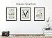 Louis Vuitton Vintage Luggage Wall Art Prints - Set of Three (8x10) Unframed Photos - Makes a Great Gift for Fashion Lovers and Home Decor