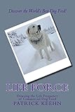 Life Force: Dowsing the World's Best Dog Food by Patrick Keehn