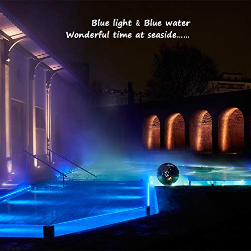 Areful Blue LED Lights, 16ft Rope Lights, Connectable and Flexible Blue Strip Lighting, High Brightness 3528 LEDs with Clear PVC Jacket, Waterproof Weatherproof for Indoor Outdoor Use