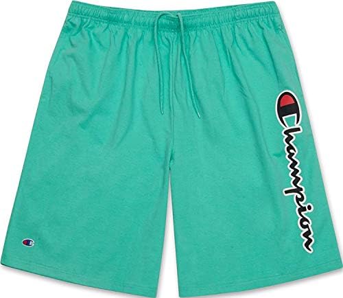 Champion Mens Big and Tall Jersey 