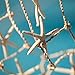 Starfish Decor - Star Fish for Craft - 15pk Real 4-6