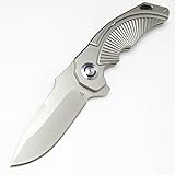 Eafengrow CSS-333 Folding Hunting Knives Bearing D2 Blade Knife and Steel Handle Full CNC Machining Carved Outdoor Pocket Knife (Gary)
