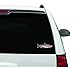 Enjoy It Wild Wings Rainbow Trout Full Color Car Sticker, Outdoor Rated Vinyl Sticker Decal