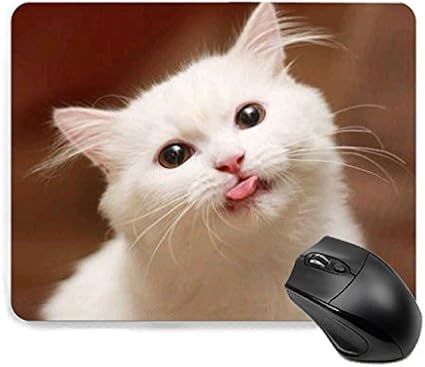 マウスパッド かわいい 猫 猫柄 萌え 舌を出す 人気 キャラクター 萌え おしゃれ 滑り止めマウスパッド 22cm 18cm Hakanaii マウスパッド 通販 Amazon