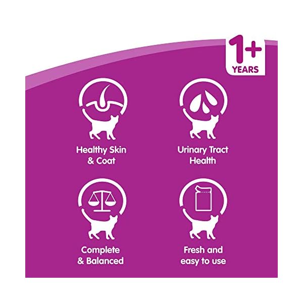 Whiskas-1-Cat-Food-Pouches-Mixed-Selection-in-Jelly-100-g-Pack-of-84 Whiskas wet pouches, delicious and tasty poultry selection in jelly, suitable for adult cats aged 1+, megapack (84 x 100…