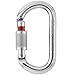 Petzl OK Screw-Lock Carabiner M33SL with Free 5 Yards of 1